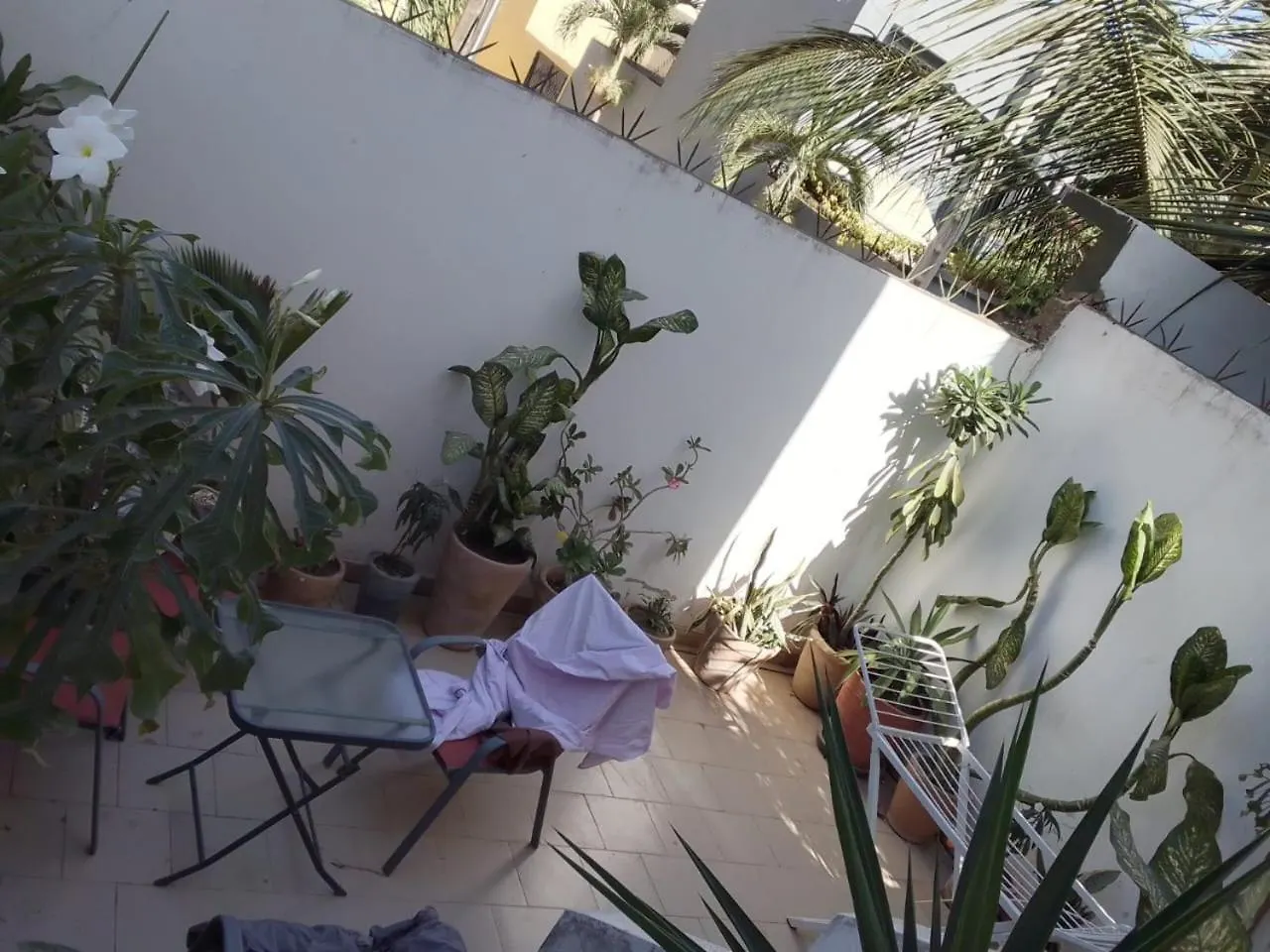 Homestay Dakar O Calm - Double Room - Chambre Salle De Bain Et Jardin